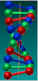 DNA.jpg (1623 bytes)